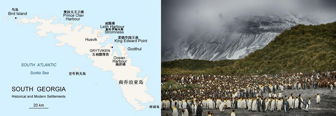 南乔治亚群岛.jpg 南乔治亚群岛.jpg