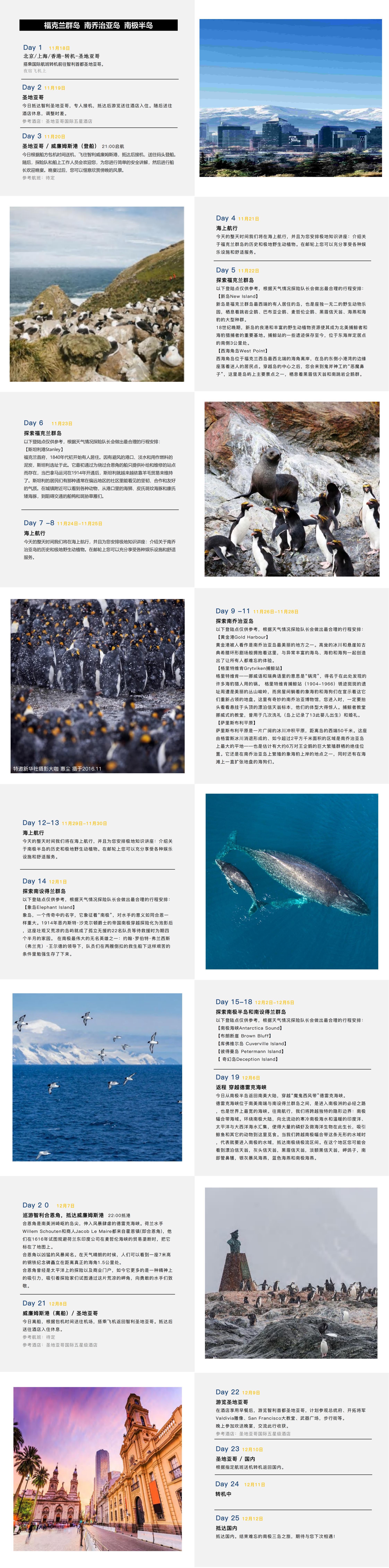 2023巡游南极三岛 · 奇遇王企鹅_Silversea_TY_00(3).jpg