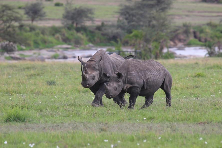 Tanzania.jpg Tanzania.jpg