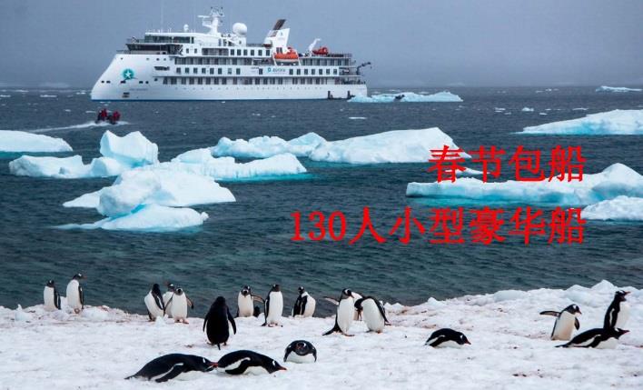 【春节包船】阁默号130人小型豪华船南极半岛18天·4个登陆平台 15艘冲锋艇 1A抗冰级 丰富的活动 搭配多种延伸线